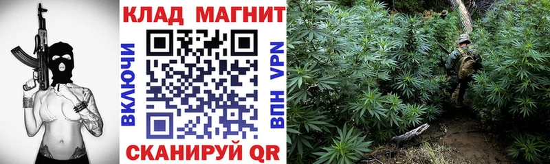 Купить закладку Гашиш  Каннабис  Амфетамин  Меф  COCAIN  МЕТАМФЕТАМИН  Альфа ПВП  Западная Двина