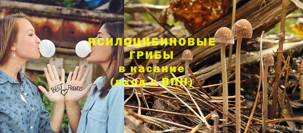 альфа пвп Михайлов