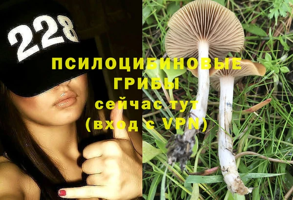 apvp Михайловка