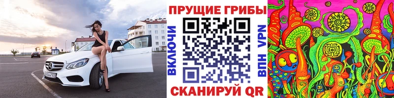 Купить где  Западная Двина  Псилоцибиновые грибы GOLDEN TEACHER 